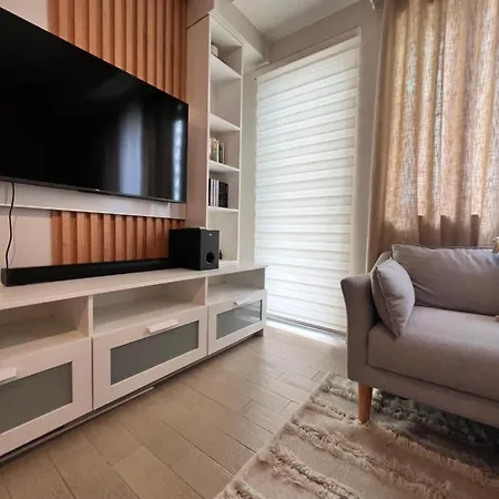 Modern Luxury Unit In Manhattan Plaza Tower